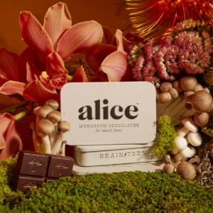 Alice Mushroom Chocolate